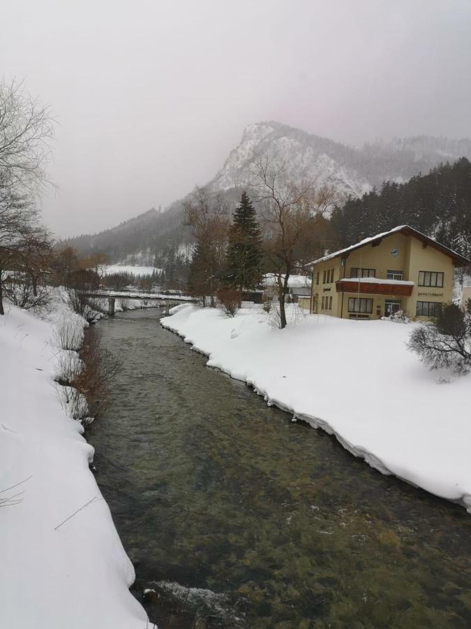 Gasthof Zum Falkenstein Hotell Schwarzau im Gebirge Eksteriør bilde